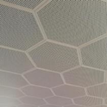 Aluminium hexagonal Agrafe-dans le plafond pour la décoration de mur de Convention Center
