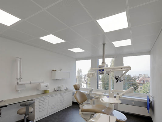 agrafe ultra micro en aluminium de perforation de plafond en métal 300x1200 dans le plafond
